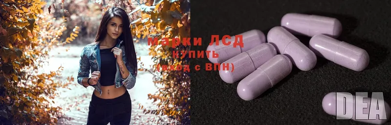 LSD-25 экстази ecstasy  Зима 